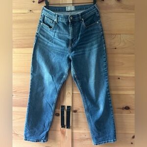 EVERLANE THE CHEEKY JEAN SIZE 31 HIGH RISE CROP LENGTH SOFT DENIM JEANS